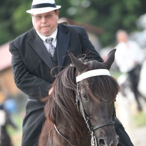 Meet your Posher, Nick